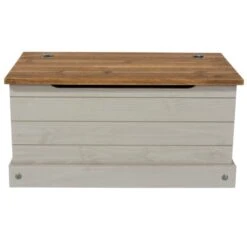 Core Corona Grey Storage Trunk