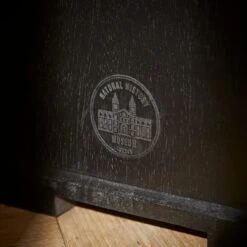 Natural History Museum Small Slim Display Cabinet -The Furniture Store 30754174 alt04