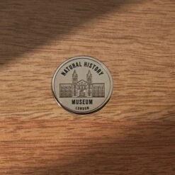 Natural History Museum Small Glazed Display Cabinet 7 Natural History Museum Small Glazed Display Cabinet -The Furniture Store 30756116 alt03