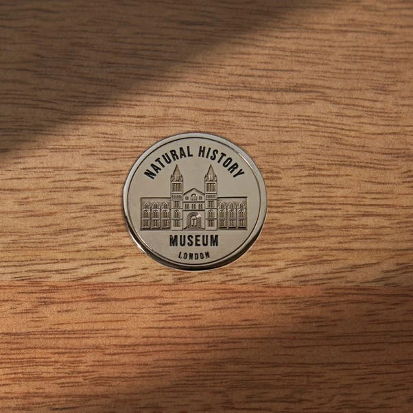 Natural History Museum Small Glazed Display Cabinet 4 Natural History Museum Small Glazed Display Cabinet - Image 4